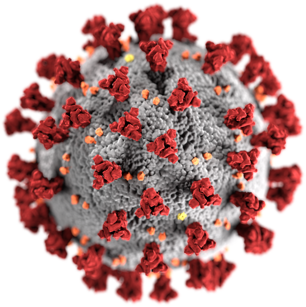 coronavirus